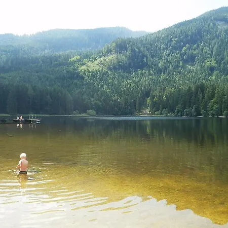 Casa Emmi Bad Mitterndorf